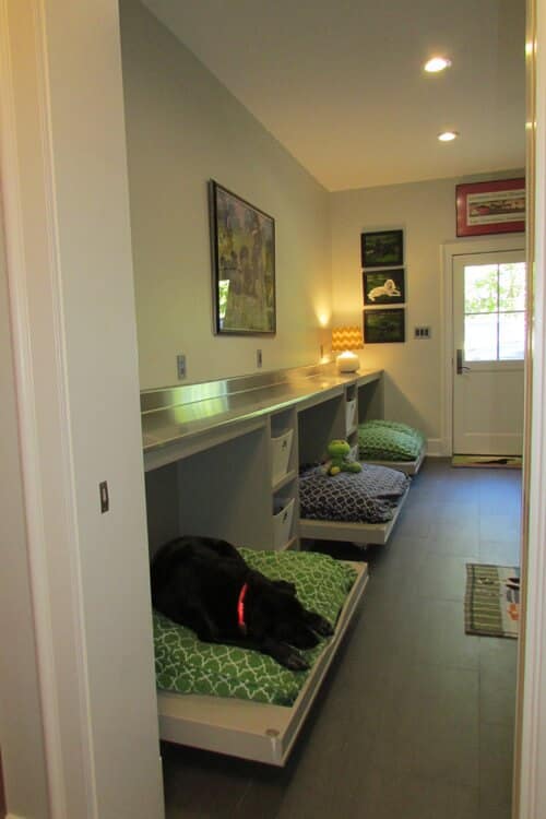 dog room inspiration