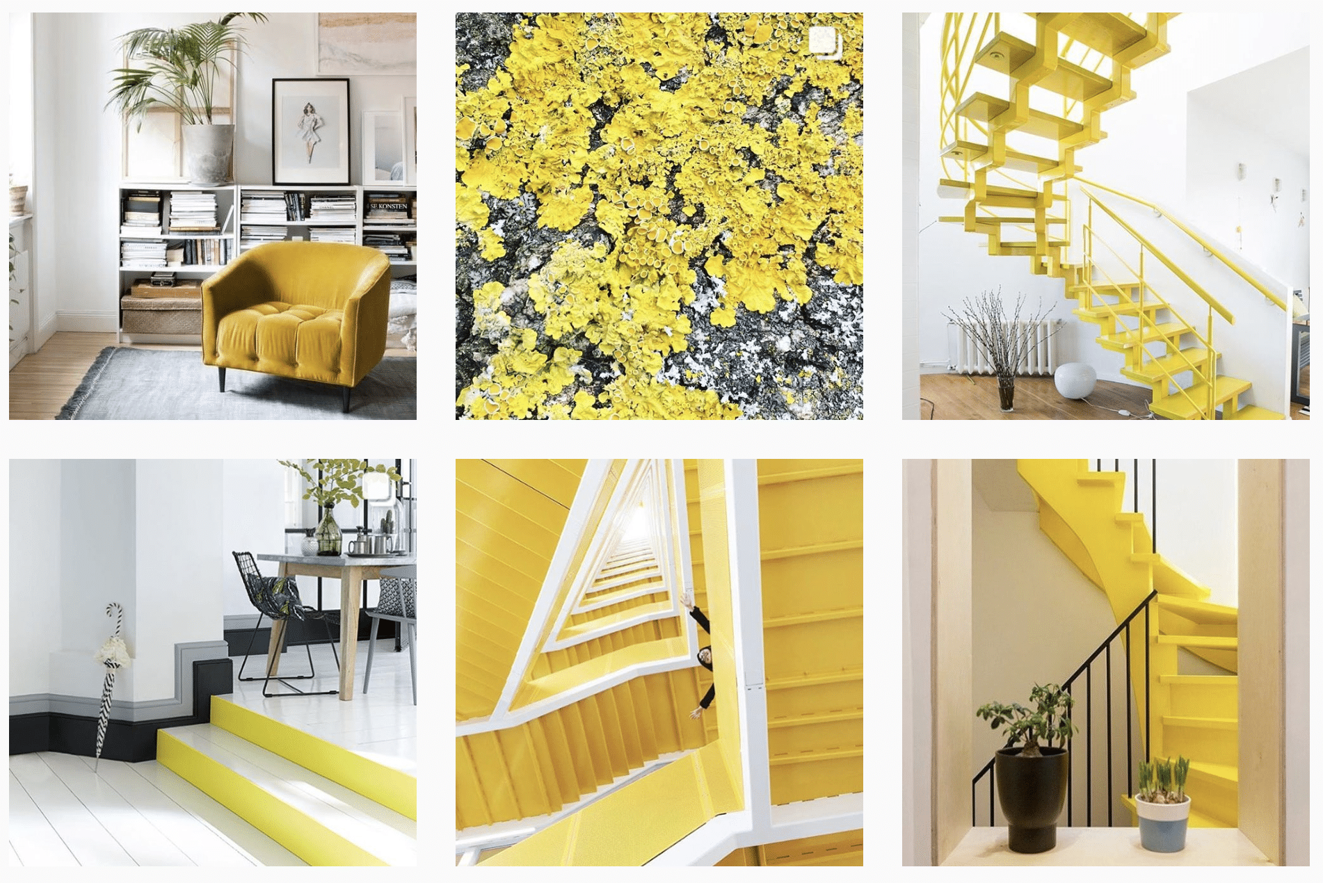 lemon interior design idesa